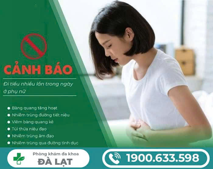 Hình ảnh minh họa